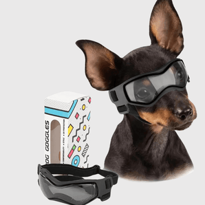Lunettes de protection pour petit chien - HAVENBRIDGES